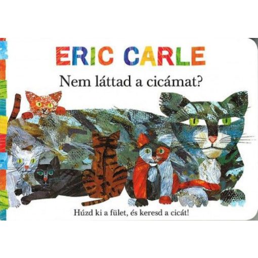Nem láttad a cicámat?