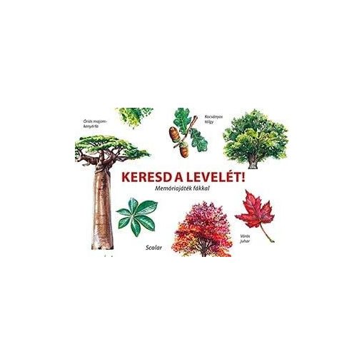 Keresd a levelét! - Memóriajáték fákkal