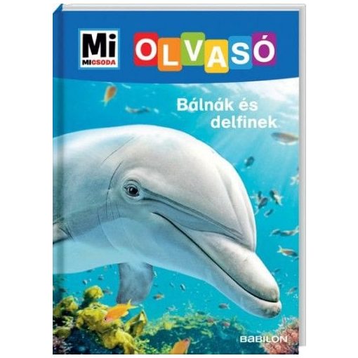 Bálnák és delfinek - Mi Micsoda Olvasó