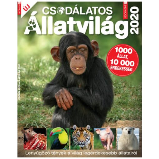 Füles Bookazine: Csodálatos Állatvilág 2020