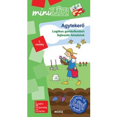   Agytekerő. Legyél te is LÜK bajnok - logikai gondolkodást fejlesztő feladatok 2. osztály  LDI 578