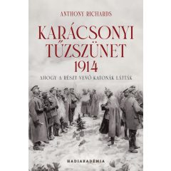   Karácsonyi tűzszünet, 1914 - Ahogy a részt vevő katonák látták