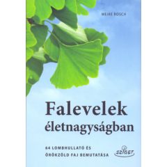 Falevelek életnagyságban