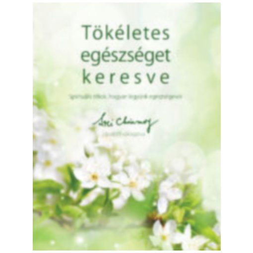 Tökéletes egészséget keresve - Spirituális titkok, hogyan legyünk egészségesek b2605