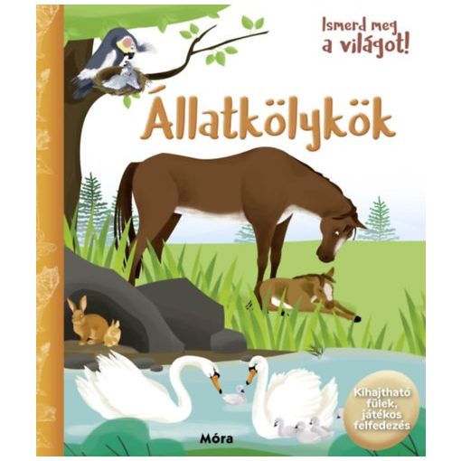 Ismerd meg a világot! - Állatkölykök