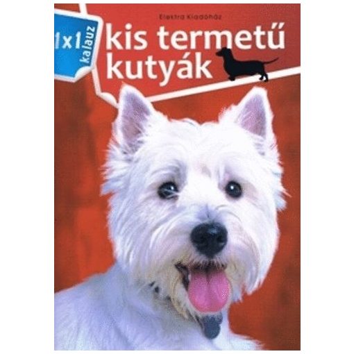 Kis termetű kutyák - 1x1 kalauz