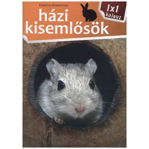 Házi kisemlősök - 1x1 kalauz