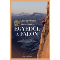 Egyedül a falon