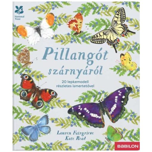 Pillangót szárnyáról - 20 lepkemodell részletes ismertetővel