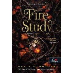 Fire Study Tűztan - Study 3.