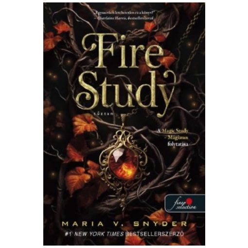 Fire Study Tűztan - Study 3.
