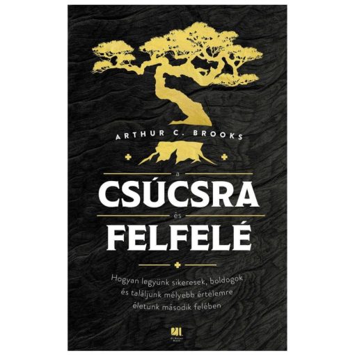 A csúcsra és felfelé B5937