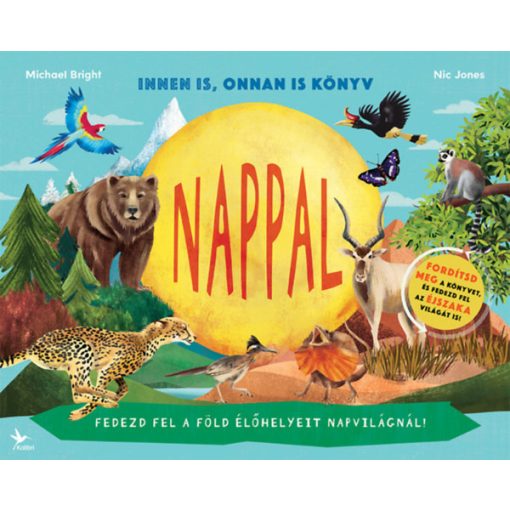 Nappal/Éjszaka - Innen is, onnan is könyv