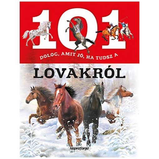 101 dolog, amit jó, ha tudsz a lovakról