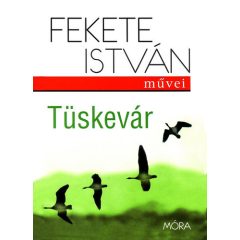 Tüskevár