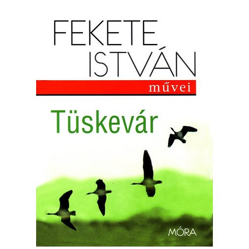 Tüskevár