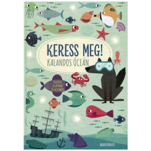 Kalandos óceán - Keress meg!