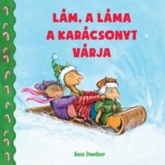 Lám, a láma a karácsonyt várja