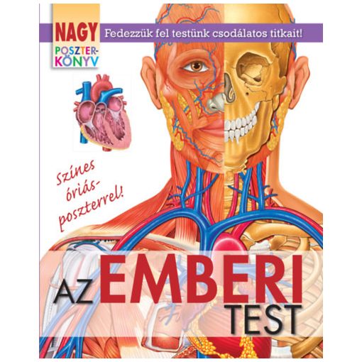 Nagy poszterkönyv - Az emberi test