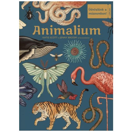 Animalium - üdvözlünk a múzeumban!