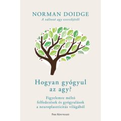   Hogyan gyógyul az agy? - Figyelemreméltó felfedezések és gyógyulások a neuroplaszticitás világábol