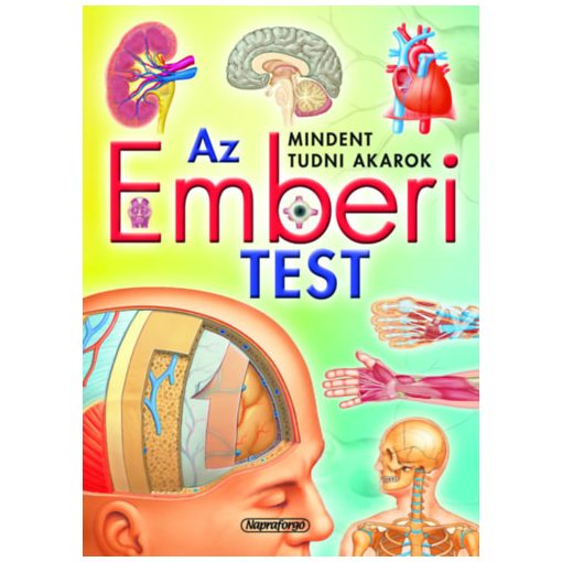 Az emberi test